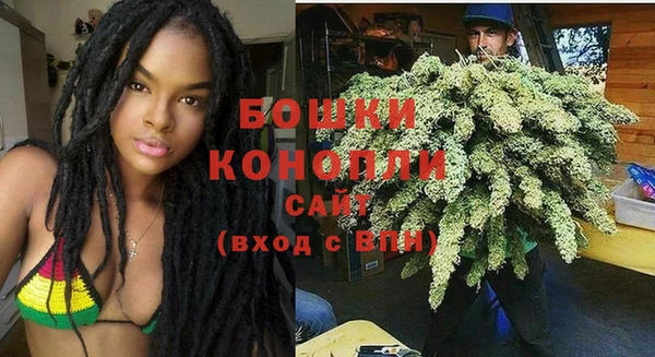 сатива Баксан