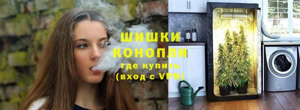 сатива Баксан