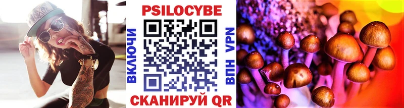 Галлюциногенные грибы Psilocybine cubensis  Купить  Оса 